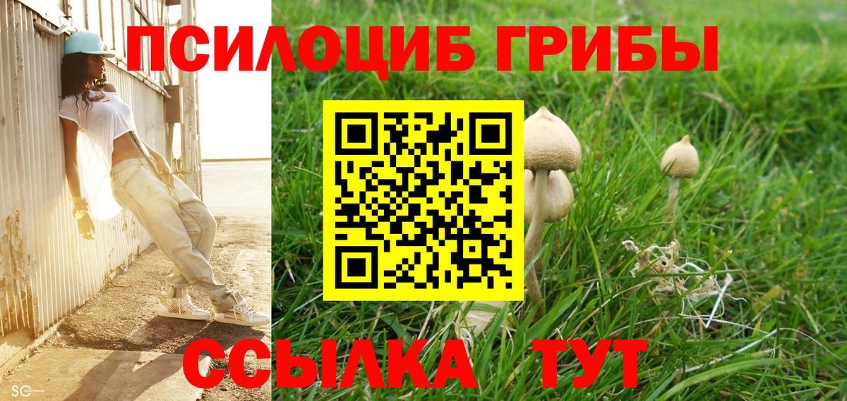 Коряжма  Галлюциногенные грибы прущие грибы  Галлюциногенные грибы GOLDEN TEACHER  Вход с VPN 